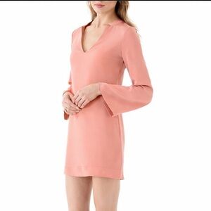 Elizabeth and James Silk Long Sleeve Sheath Dress Bell Sleeve Romantic Sz 4 Rose